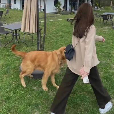 代表小姐
