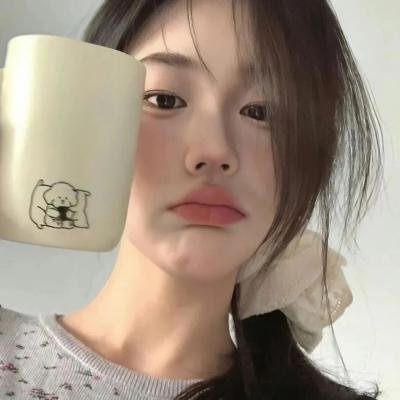 我私人的爱达荷